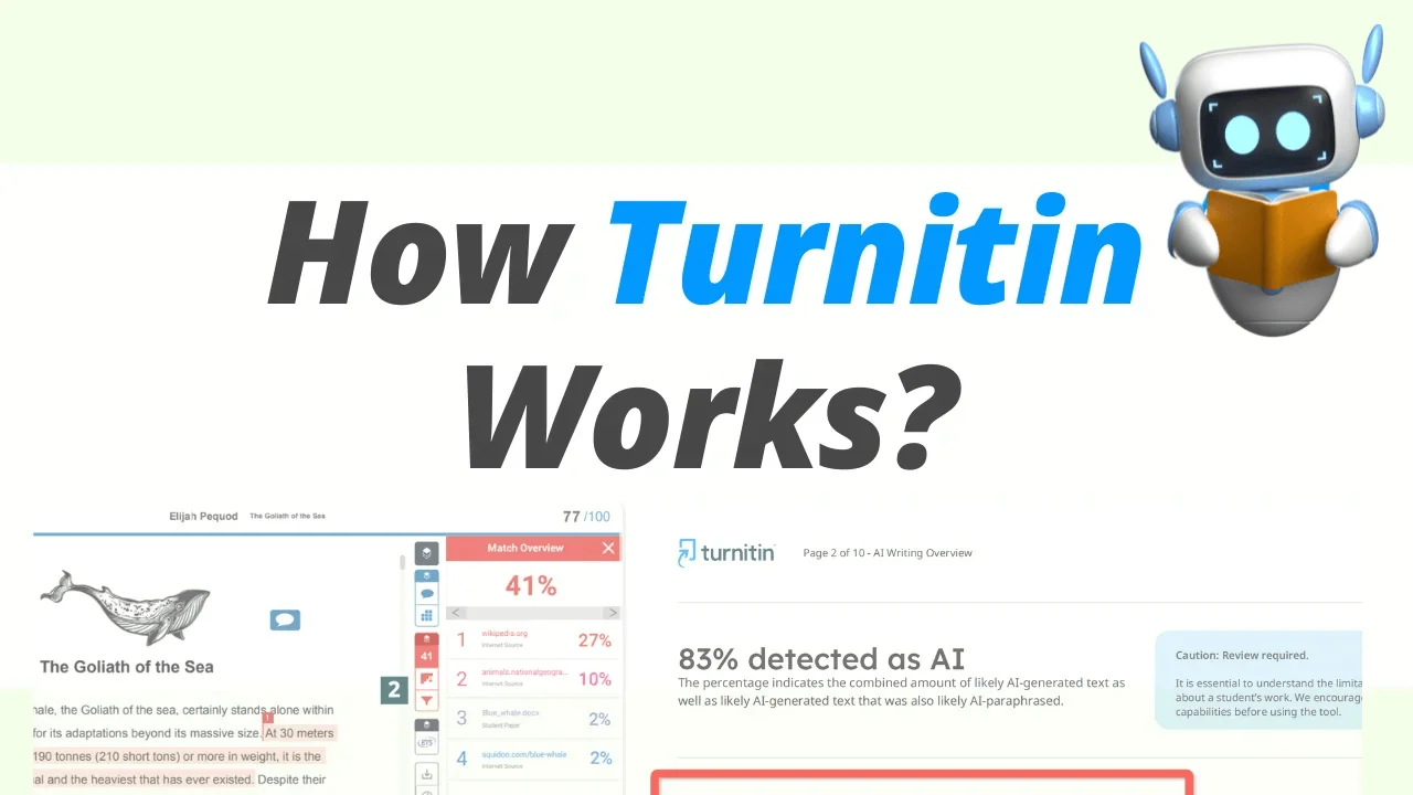 How Does Turnitin Work First Screen