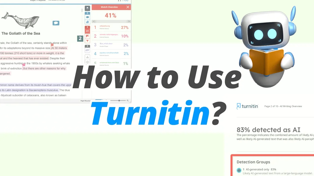 How to Use Turnitin First Screen