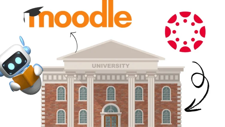 University Turnitin LMS